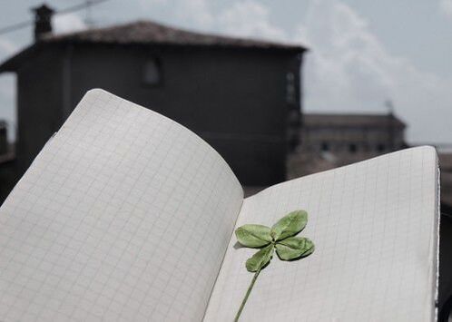 Four-leaf clover – lucky charm