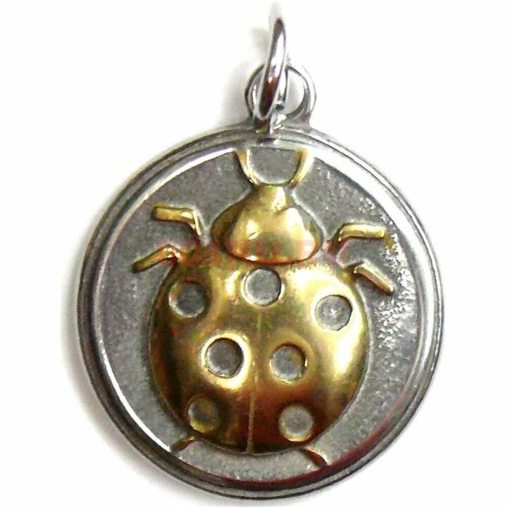 Amulet ladybug - bring financial luck