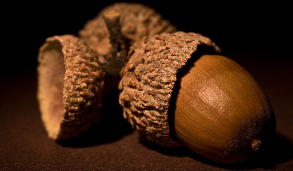 amulet for luck - acorn