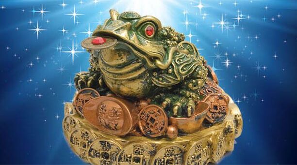 Three-legged toad prays for good luck
